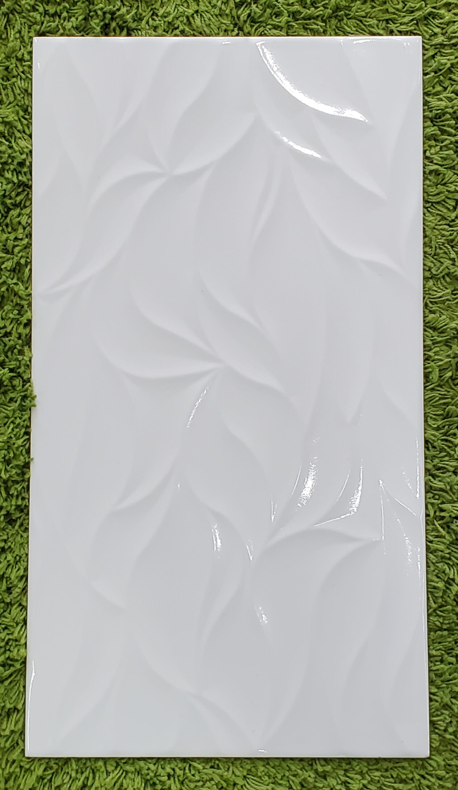 20230515_144720 scaled