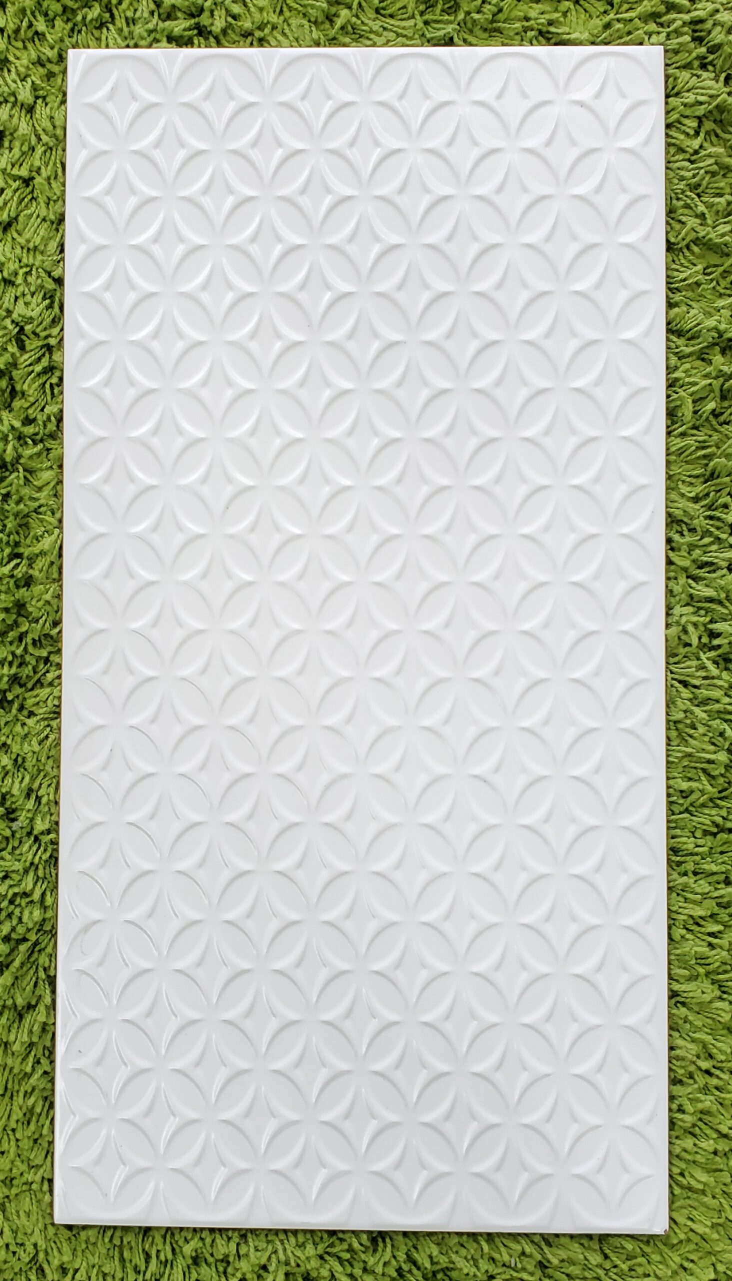 20230515_151141 scaled