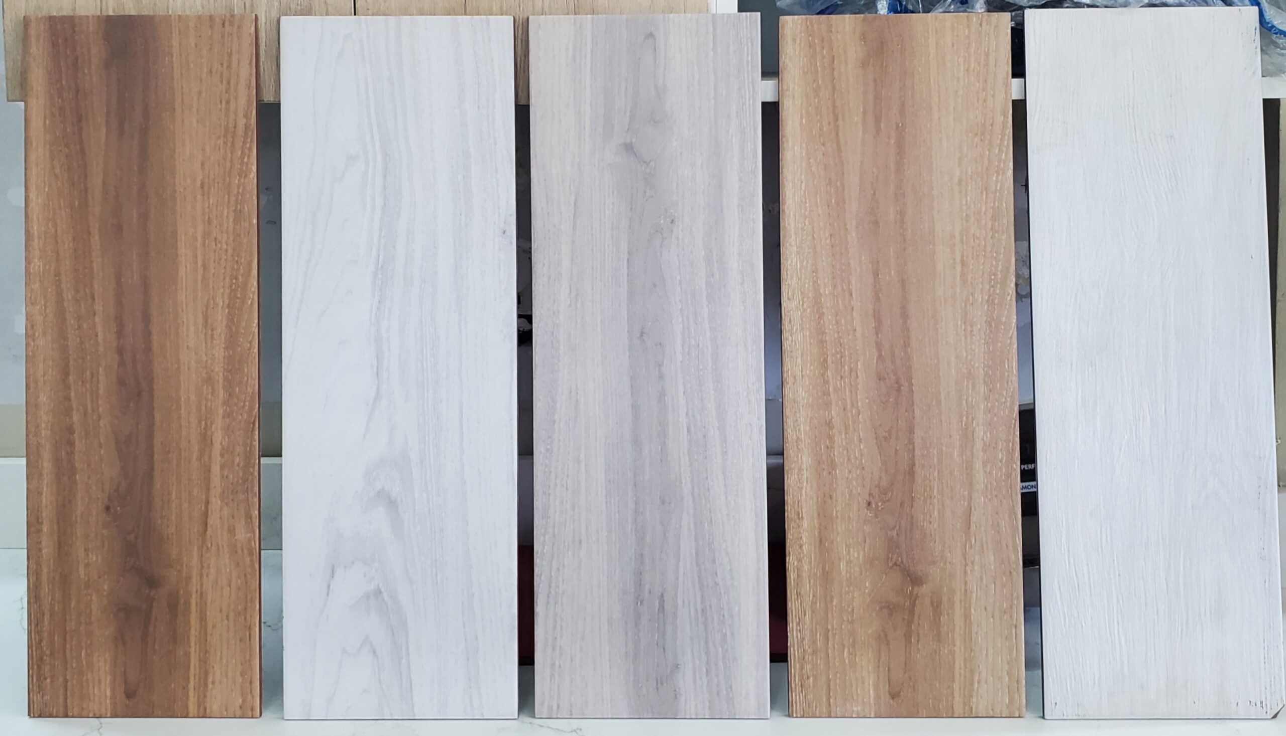 20231020_1122421 scaled