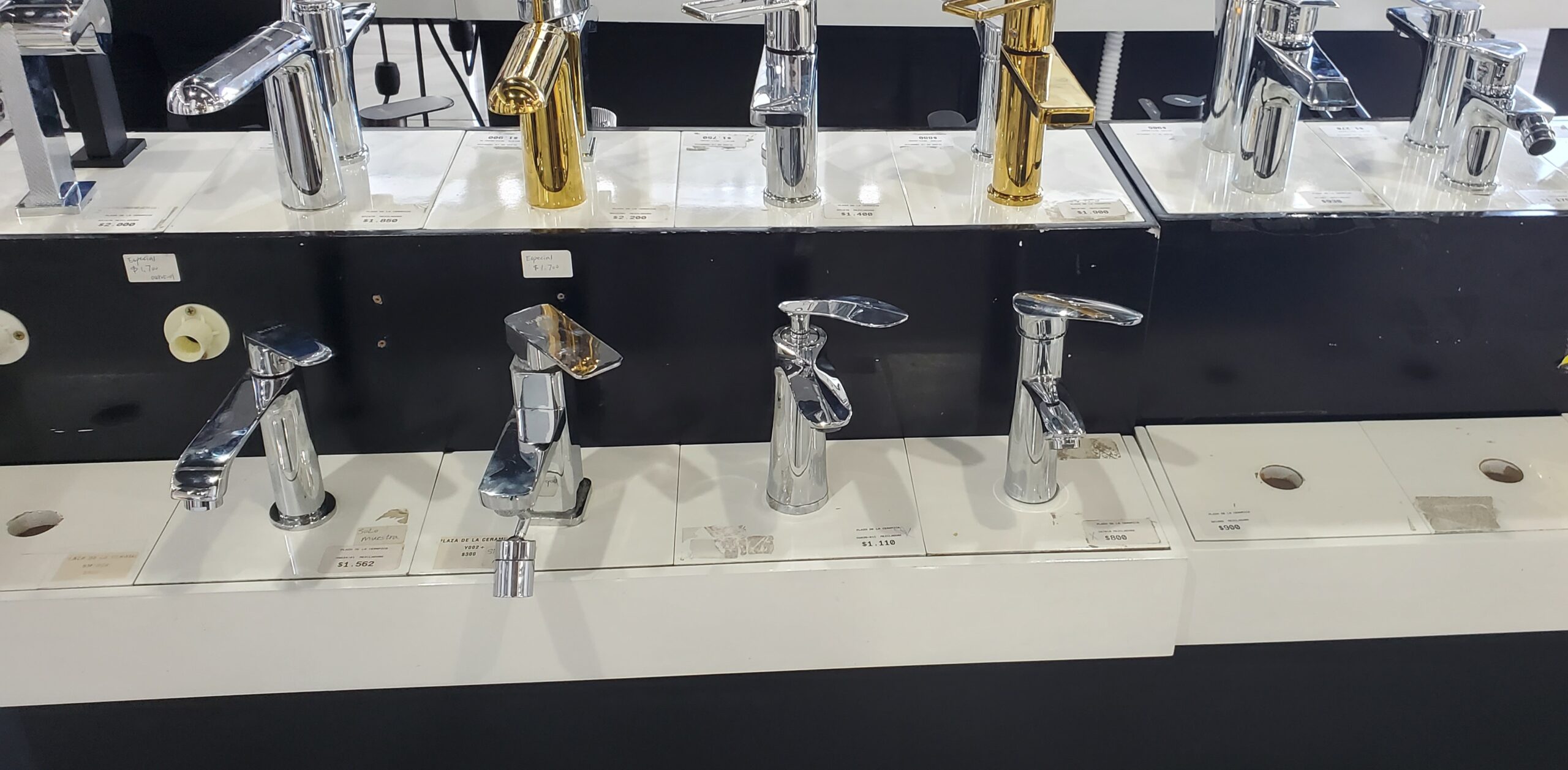 20231021_1249011 scaled